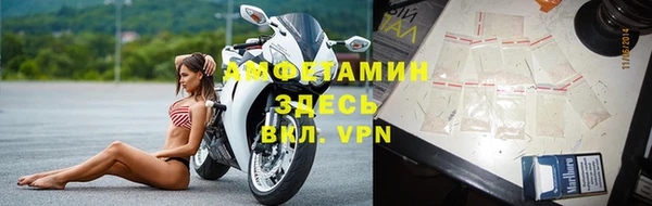мяу мяу мука Инсар