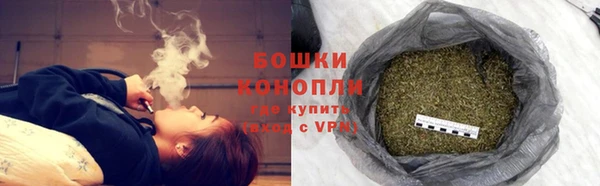 мяу мяу мука Инсар