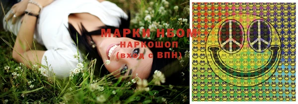 мяу мяу мука Инсар