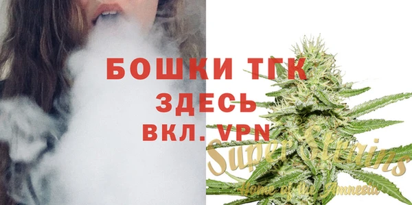 мяу мяу мука Инсар