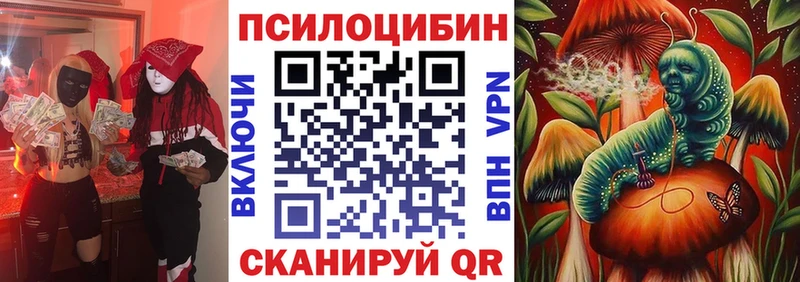 Купить  Гремячинск  Псилоцибиновые грибы Psilocybine cubensis 